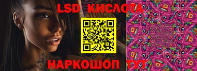 шишки Заволжье