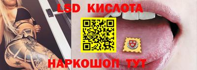 шишки Заволжье
