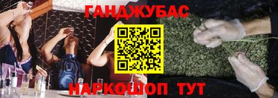 шишки Заволжье