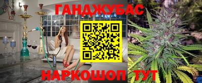 шишки Заволжье