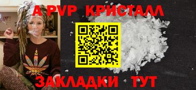 шишки Заволжье
