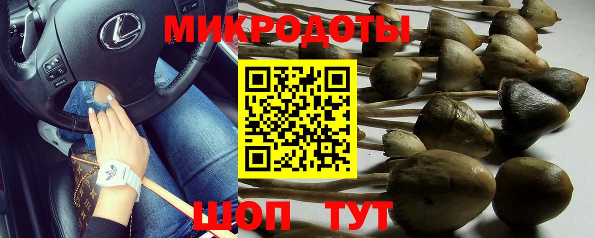 Псилоцибиновые грибы Cubensis Новокуйбышевск